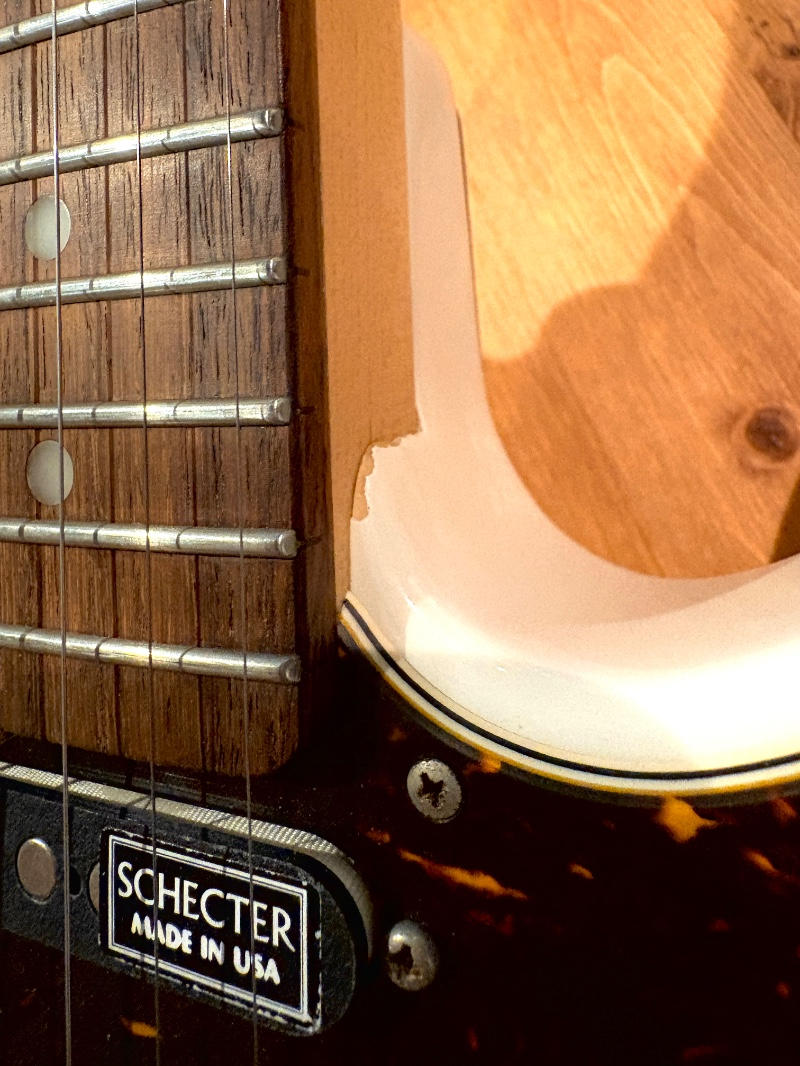 SCHECTER (シェクター) / SCHECTER PA-LS/TK 凛として時雨