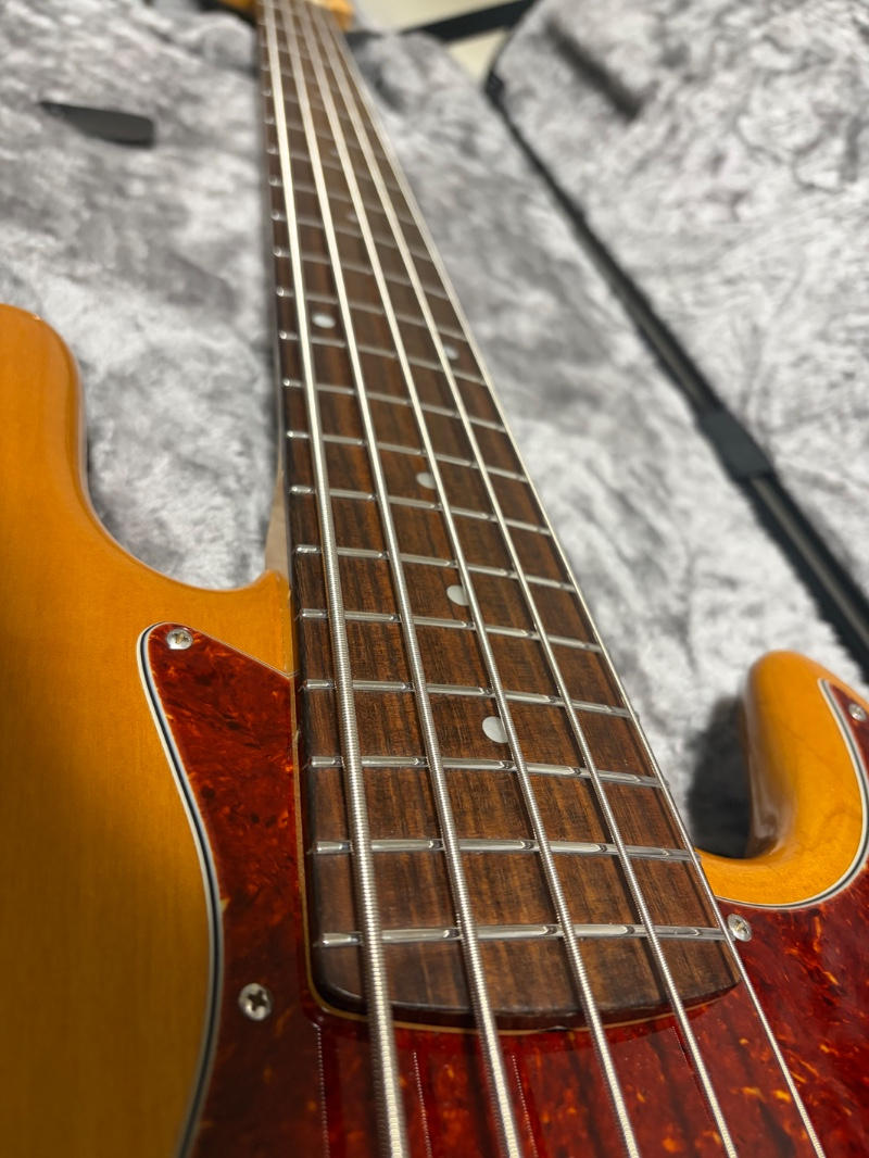 Freedom Custom Guitar (フリーダムカスタムギターリサーチ) / Freedom Custom Guitar Research Retro Series JB 5st Active