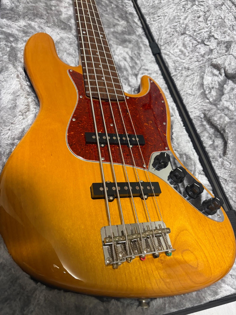 Freedom Custom Guitar (フリーダムカスタムギターリサーチ) / Freedom Custom Guitar Research Retro Series JB 5st Active