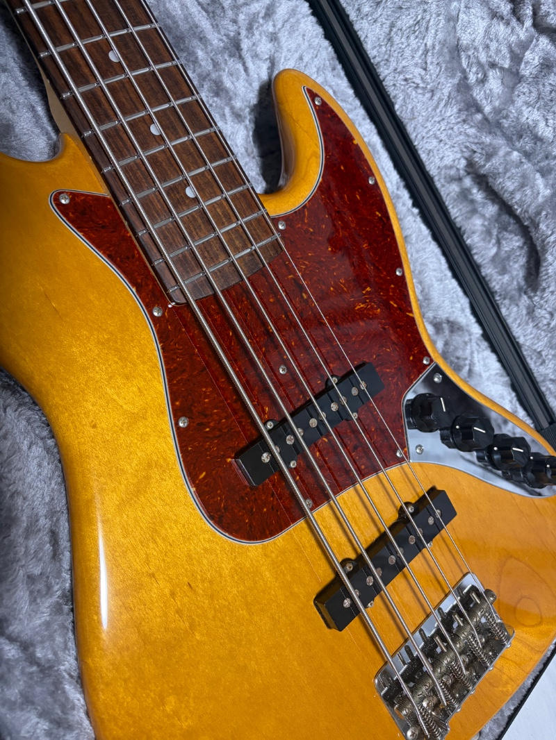 Freedom Custom Guitar (フリーダムカスタムギターリサーチ) / Freedom Custom Guitar Research Retro Series JB 5st Active