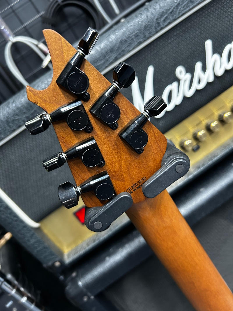 EVH (イーブイエイチ) / EVH wolfgang STD.ベースに白黒フランケン!van halen. エディ