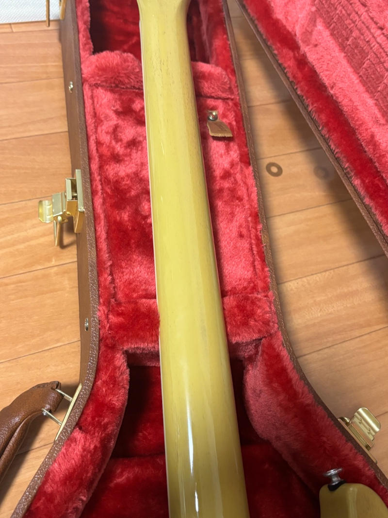 GIBSON (ギブソン) / Les Paul Special Double Cutaway TV Yellow