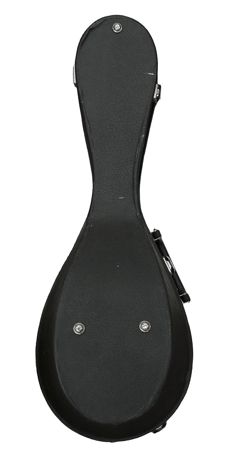 SUZUKI VIOLIN (スズキバイオリン) / 【中古品】M-30 マンドリン