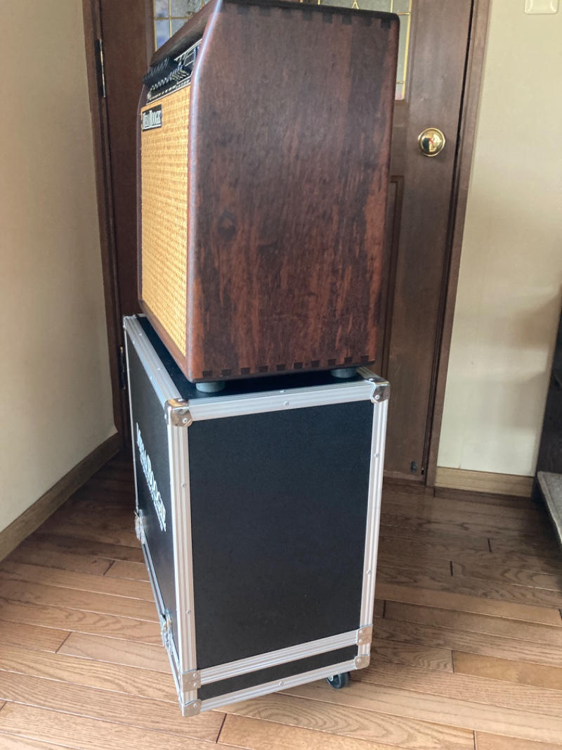 MESA BOOGIE (メサブギー) / 50 Caliber+ Hard Wood