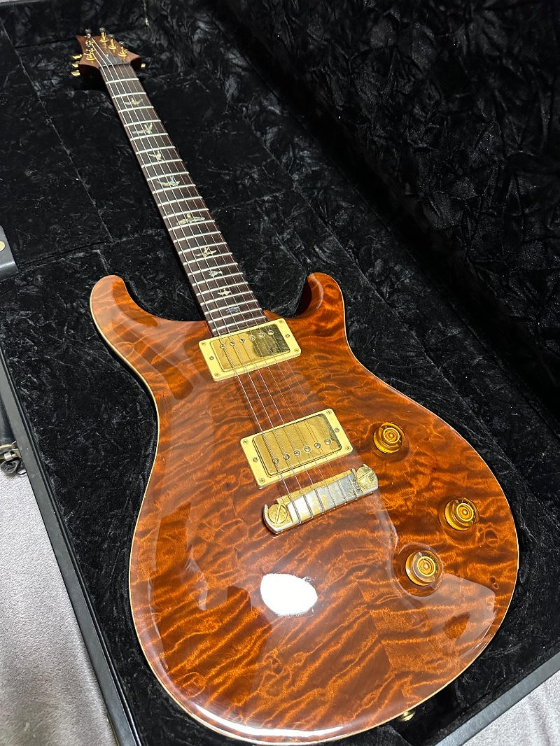 Paul Reed Smith (PRS) (ポールリードスミス) / Custom 22 Artist Package