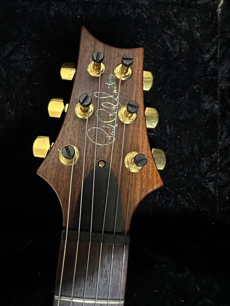 Paul Reed Smith (PRS) (ポールリードスミス) / Custom 22 Artist Package