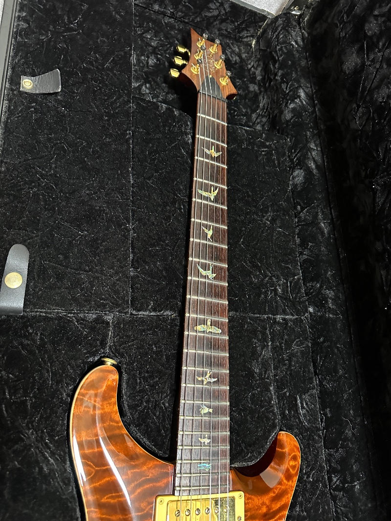 Paul Reed Smith (PRS) (ポールリードスミス) / Custom 22 Artist Package