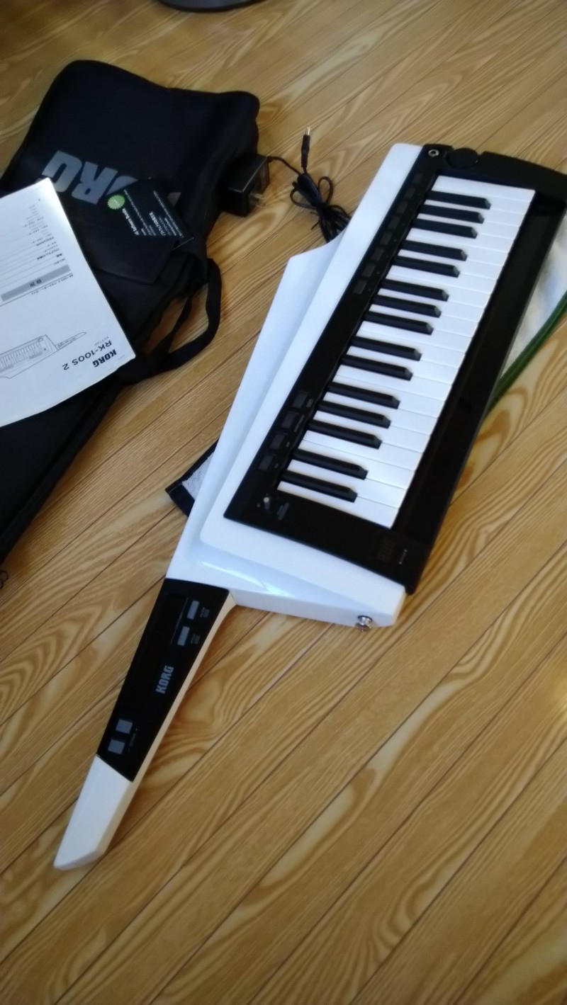 KORG (コルグ) / RK-100S 2WH キーター