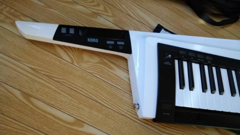 KORG (コルグ) / RK-100S 2WH キーター