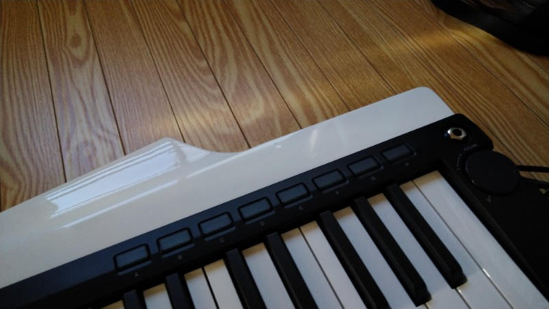 KORG (コルグ) / RK-100S 2WH キーター