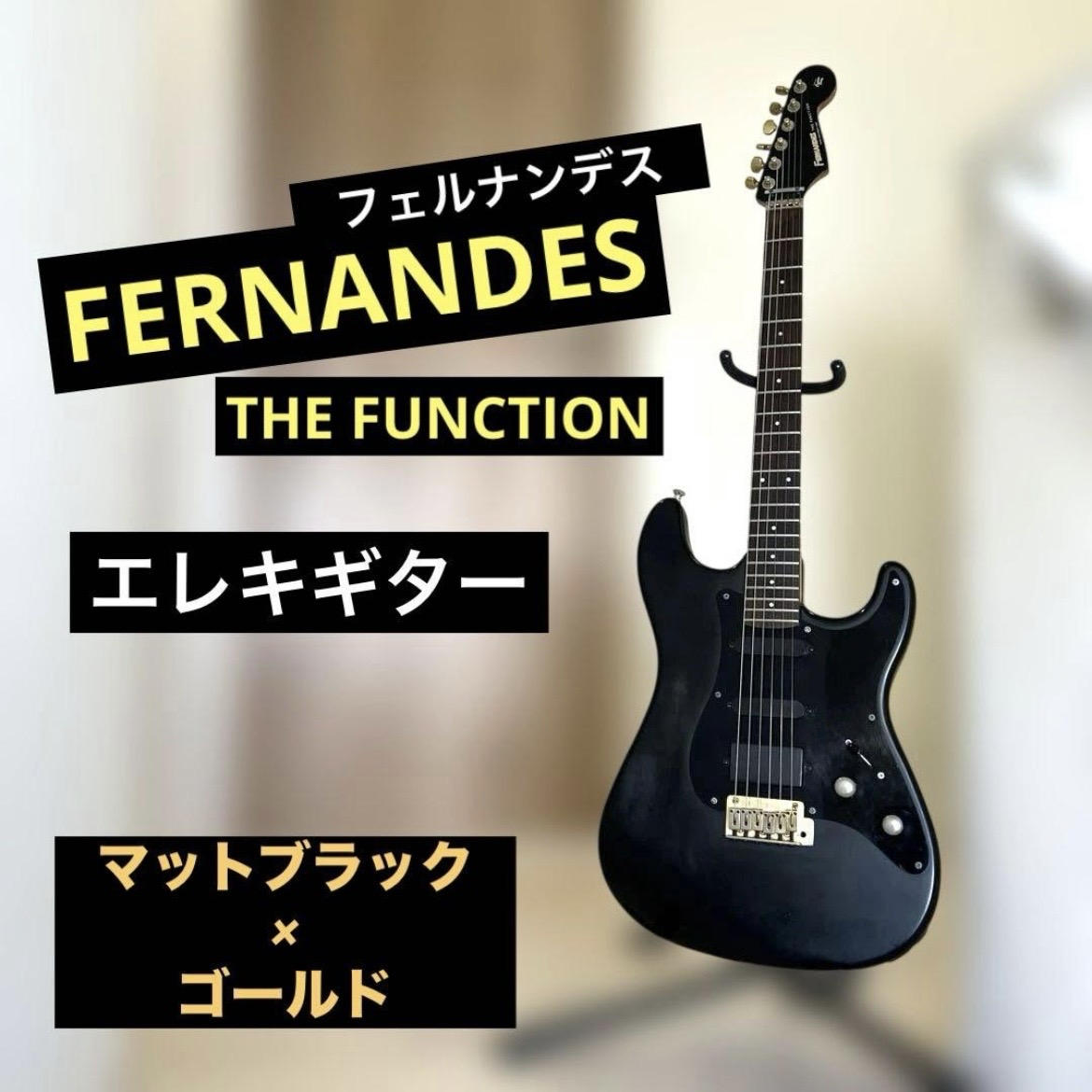 FERNANDES / 【希少】FERNANDES THE FUNCTION エレキギター マットブラック 金 フェルナンデス