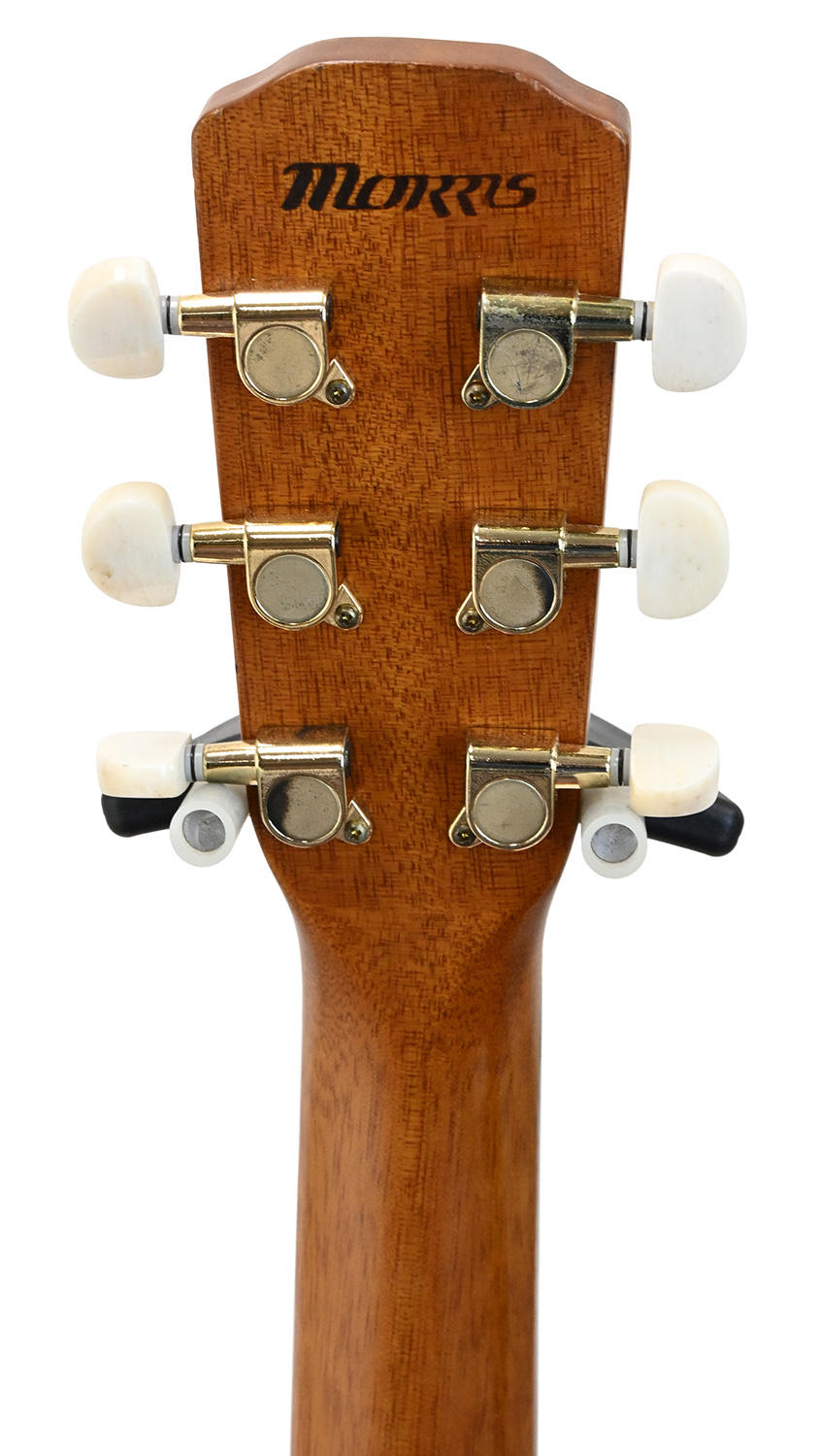 MORRIS (モーリス) / 【USED】SS-30NAT