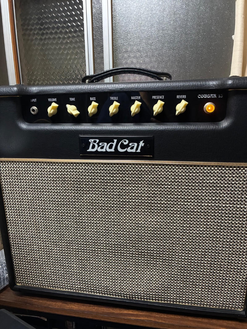 BAD CAT (バッドキャット) / Courga15