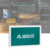 STEINBERG (スタインバーグ) / Absolute 6
