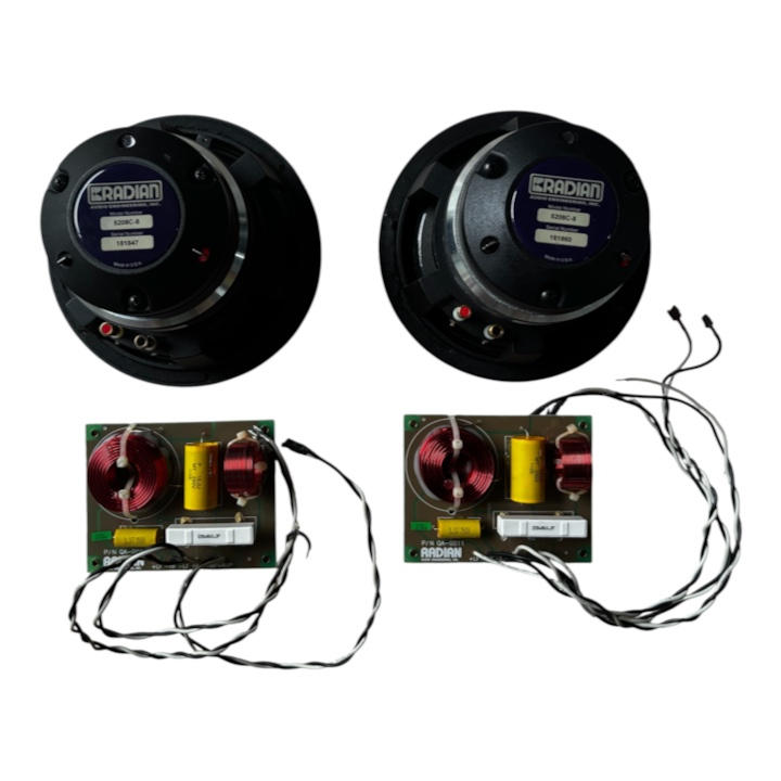 Radian / Radian 5208C-8 ×2本+純正ネットワーク ×2枚