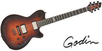 GODIN GUITAR / LGX-SA Cognac Burst Flame AAA アウトレット品