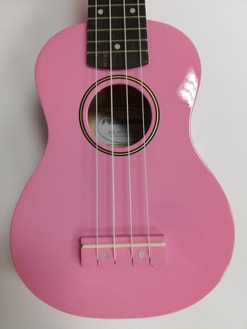 PLAYTECH (プレイテック) / PTUK100PI