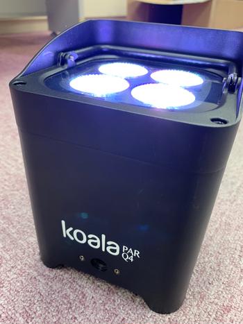 NiTEC / KOALA Q4 A0141