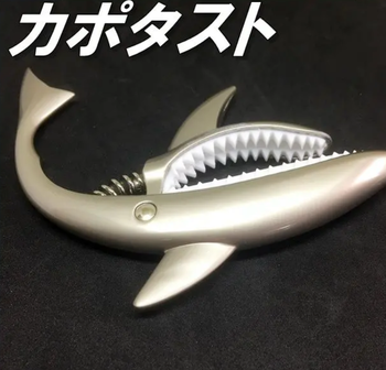 不明 / カポタスト