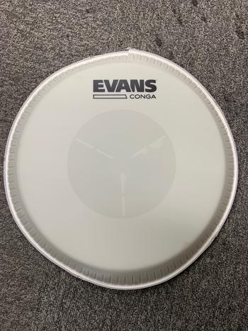 EVANS (エバンス) / EC0975 C0162