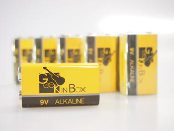 Geek IN Box / ミュージシャンのための 9Vバッテリーアルカリ GIBベーシック 5個セット