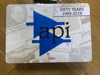 API (エーピーアイ) / usagi様専用　512C