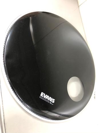 EVANS (エバンス) / BD22RB(反りあり) B0222