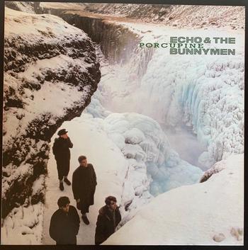 Echo & The Bunnymen  / Porcupine 