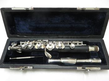 PLAYTECH (プレイテック) / ピッコロ PTPC-300 C0653