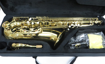 PLAYTECH (プレイテック) / テナーサックス PTTS-200 C0645