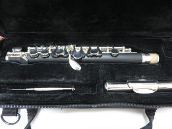 PLAYTECH (プレイテック) / ピッコロ PTPC-300 C0655