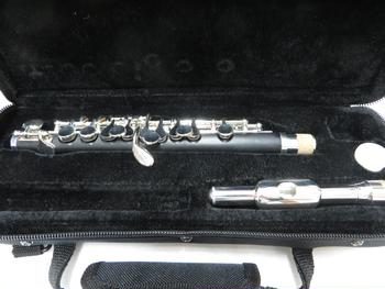 PLAYTECH (プレイテック) / ピッコロ PTPC-300 C0656