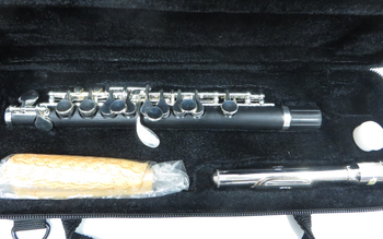 PLAYTECH (プレイテック) / ピッコロ PTPC-300 C0679