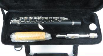 PLAYTECH (プレイテック) / PTPC-300 ピッコロ C0682