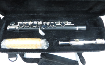 PLAYTECH (プレイテック) / ピッコロ PTPC-300