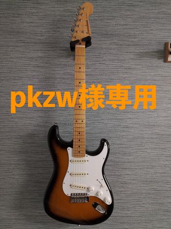 Bacchus（バッカス） / 【pkzw様専用】Bacchus（バッカス）ギター　ストラトタイプ