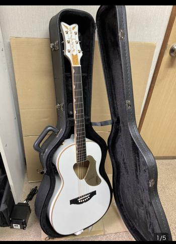 GRETSCH (グレッチ) / G5021WPE Rancher Penguin