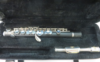 PLAYTECH (プレイテック) / ピッコロ PTPC-300 C790