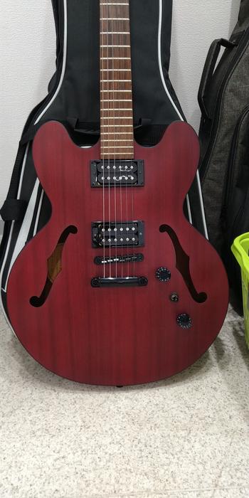 Epiphone / Epiphone Dot Studio WC