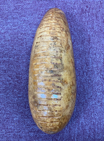 LP (ラテンパーカッション) / LP249 ギロ C0939