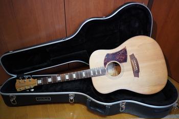 cole clark / cole clark エレアコ　FL2A3