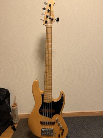 Xotic / Xotic XJ-1T 5st