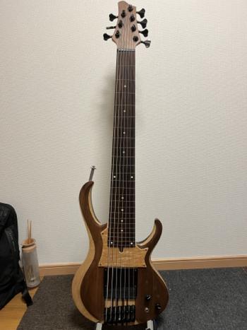 Ibanez / Ibanez TBT747 Fretless Mod