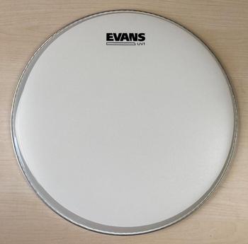 EVANS (エバンス) / B14UV1 ドラムヘッド D0077