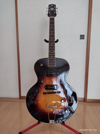 LOAR / LH-319 Vintage Sunburst