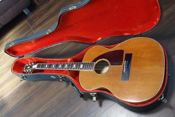 EPIPHONE /  FT-110