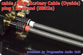 OYAIDE (オヤイデ) / NEO Ecstasy Cable＋金メッキプラグ（NB02a）/0.45m×2本