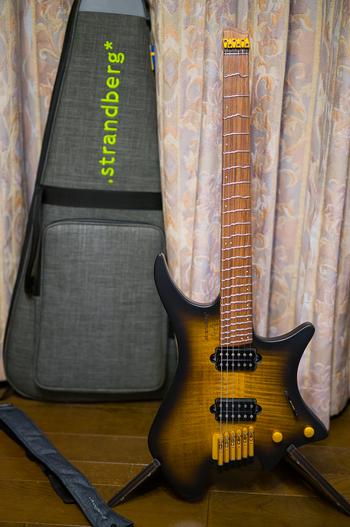 Strandberg / strandberg Boden 6 True Temperament Brown Burst