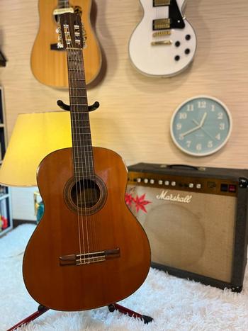 TAKAMINE (タカミネ) / 【3822】 高峰楽器製作所 謹製 品番　第百貳拾號 takamine