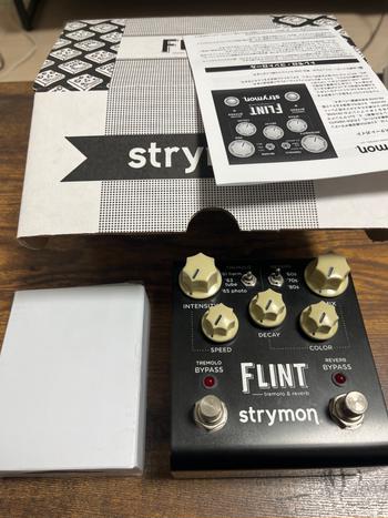 STRYMON (ストライモン) / strymon FLINT